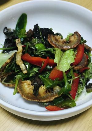 【野菜ソムリエ】堀川ごぼうチップスサラダ-レシピのメイン写真