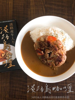 筑前煮ハンバーグカレー-レシピのメイン写真