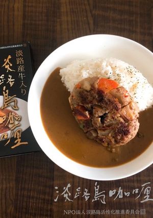 筑前煮ハンバーグカレー-レシピのメイン写真