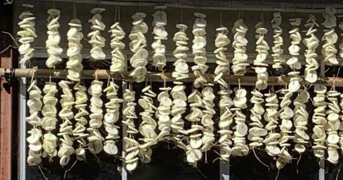 基本からアレンジまで！思わずつくりたくなる「切り干し大根 わら」のレシピ集 | クックパッド