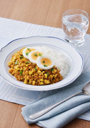 豆もやしと豆腐のドライカレー-レシピのメイン写真