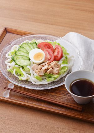 野菜たっぷりサラダうどん-レシピのメイン写真