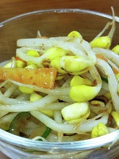 沙茶醤で豆もやしのナムルみたいの。-レシピのメイン写真