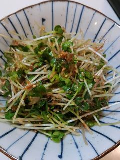 簡単!2分で♪かいわれのおかか和え♪-レシピのメイン写真
