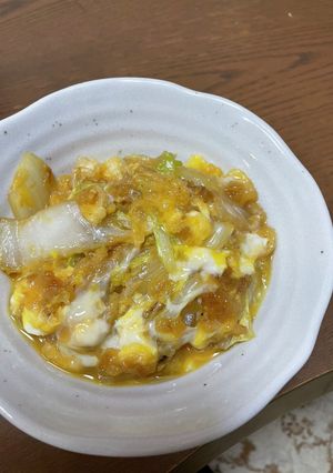 白菜と天かすの悪魔な食べ物-レシピのメイン写真
