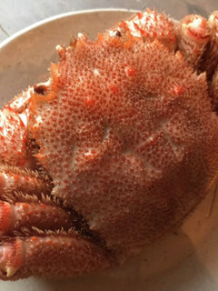冷凍毛蟹の浜ゆで風-レシピのメイン写真