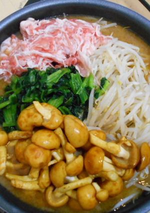 もやしの鍋(味噌)-レシピのメイン写真
