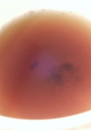 そばつゆスープにもお吸い物にもなるスープ-レシピのメイン写真