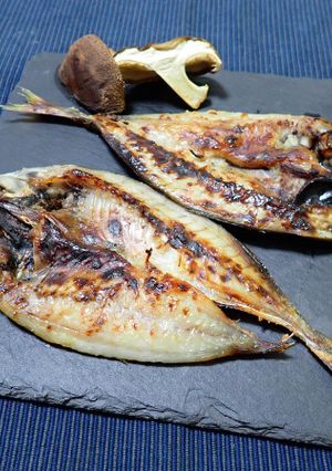 アジの塩麴焼き-レシピのメイン写真