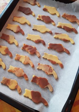 猫のクッキー-レシピのメイン写真