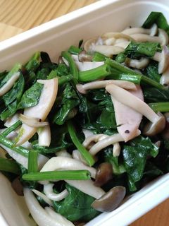 ほうれん草の麺つゆ炒め-レシピのメイン写真