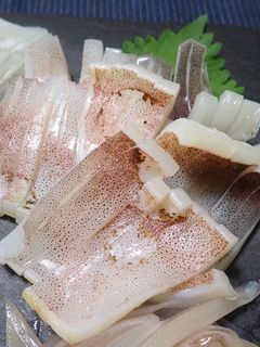 スルメイカの炙り-レシピのメイン写真