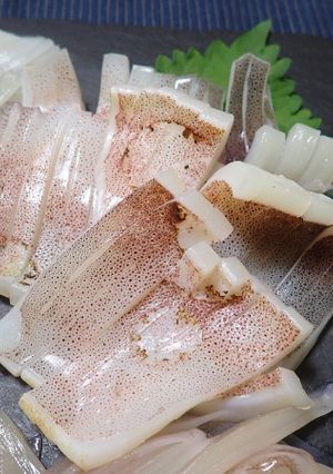 スルメイカの炙り-レシピのメイン写真