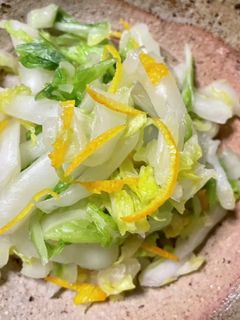 白菜の浅漬け-レシピのメイン写真