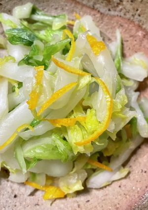 白菜の浅漬け-レシピのメイン写真