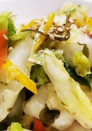 お年寄り絶賛シリーズ☆白菜、人参浅漬け☆-レシピのメイン写真