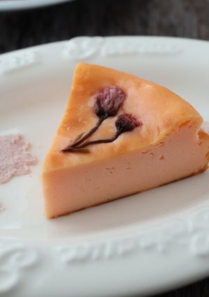 桜のチーズケーキ-レシピのメイン写真