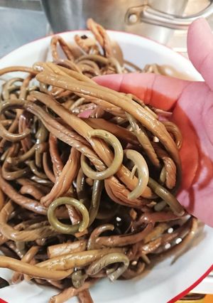 私流　極太干しぜんまいの戻し方　備忘録用-レシピのメイン写真
