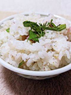 しらすと梅干しの炊き込みご飯-レシピのメイン写真