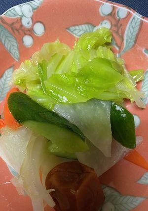 しんなり野菜の浅漬けマリネ-レシピのメイン写真