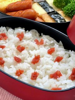 懐かしいお弁当♡ご飯に梅干しを散りばめて-レシピのメイン写真