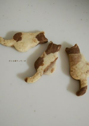 三毛猫クッキー-レシピのメイン写真