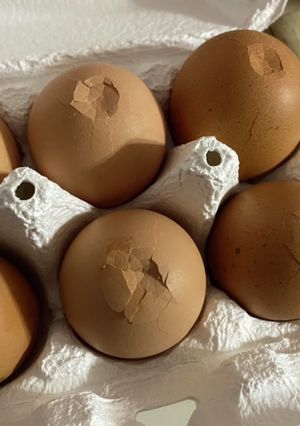 するりと皮むき　半熟卵-レシピのメイン写真