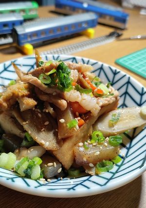 豚ごぼうこんにゃく厚揚げ人参のピリ辛炒め-レシピのメイン写真