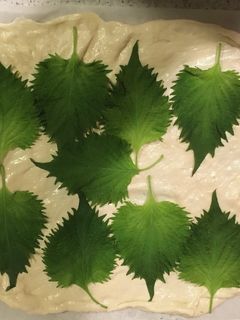 シソのピザ-レシピのメイン写真