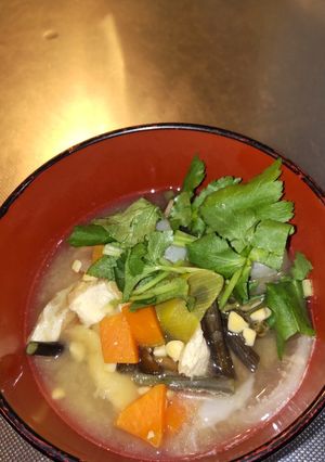 疲れた胃に優しい納豆汁-レシピのメイン写真