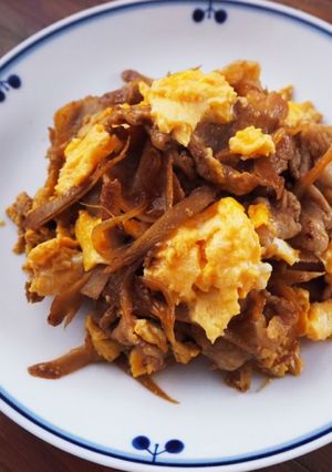 ごぼう使い切り！ごぼうと豚肉のカレー炒め-レシピのメイン写真