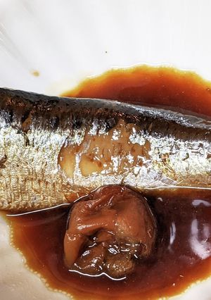 活力鍋で、いわしの梅煮-レシピのメイン写真