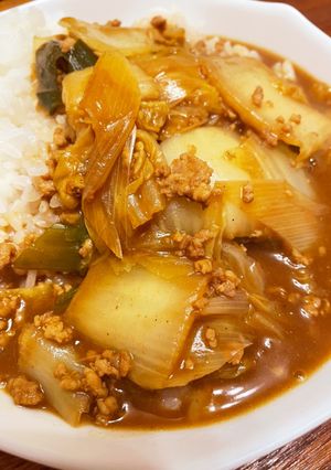 白菜ネギカレー-レシピのメイン写真