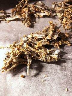 食べる煮干しで簡単田作り-レシピのメイン写真