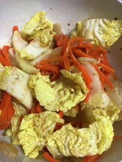 搾菜と胡麻ぽん!?にんじん白菜サラダ-レシピのメイン写真