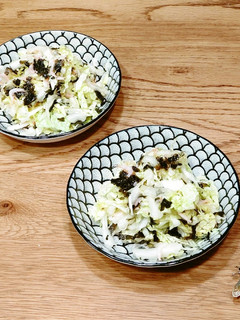 白菜と釜揚げエビのサラダ-レシピのメイン写真