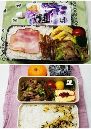 豚肉キャベツ炒め弁当(1.14)-レシピのメイン写真