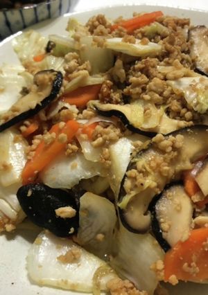 鶏ひき肉と野菜あんかけ-レシピのメイン写真
