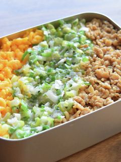 ねぎ塩そぼろ丼-レシピのメイン写真