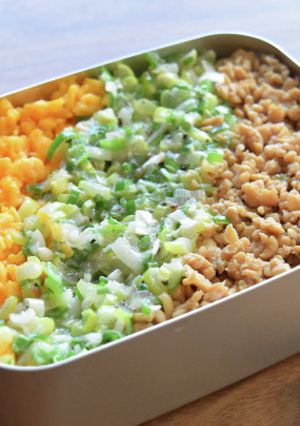 ねぎ塩そぼろ丼-レシピのメイン写真
