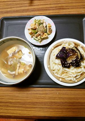 ヨウサマの減塩揚げ茄子のみぞれつけうどん-レシピのメイン写真