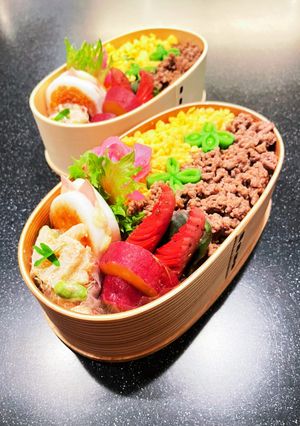 高校生弁当　合い挽き肉でそぼろ弁当-レシピのメイン写真