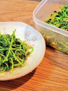 やみつき無限豆苗!人気簡単作り置き常備菜-レシピのメイン写真