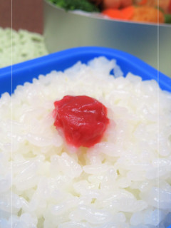 お弁当用のごはんの詰め方・冷まし方 -2-レシピのメイン写真