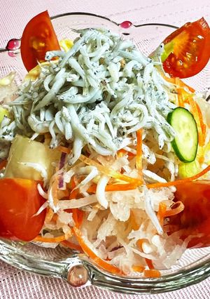 大根と、しらすの和風サラダ-レシピのメイン写真