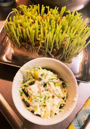 木綿豆腐とハム、コーン、豆苗の洋風和物-レシピのメイン写真