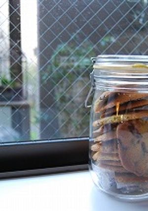 板チョコで作るチョコチップクッキー-レシピのメイン写真