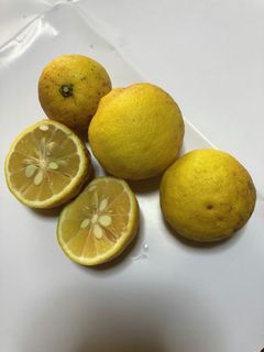 柚子塩-レシピのメイン写真