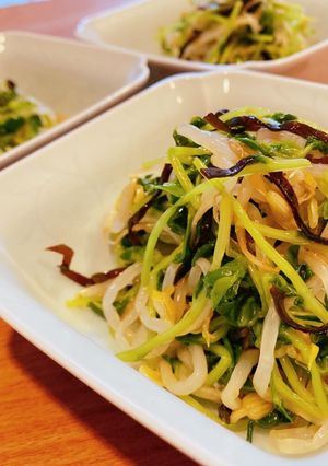 豆苗ともやしの塩昆布和え-レシピのメイン写真