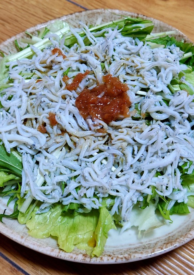 わかやまレタスと梅のしらすサラダ-レシピのメイン写真
